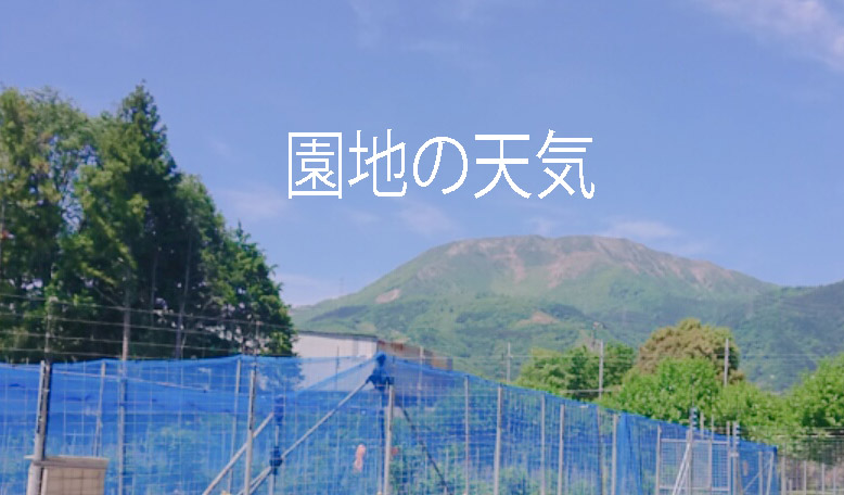 日本気象協会のホームページへのリンク